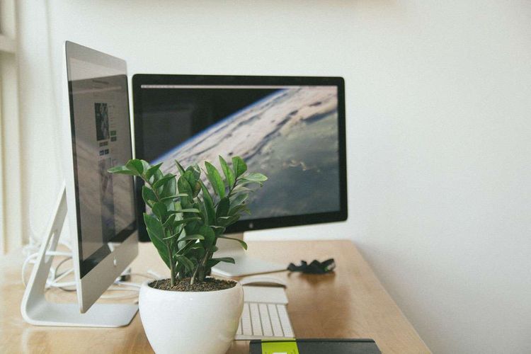 Schreibtisch mit Computer, 2 Bildschirmen, Tastatur, Maus und einer Topfpflanze