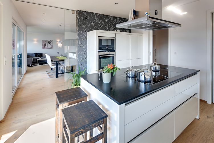 Die moderne Küche des modernen Holzhauses im Bauhausstil mit mineralischem Außenputz und Flachdach