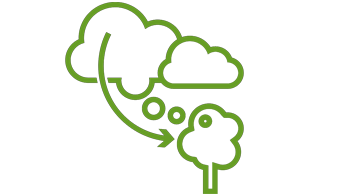 Symbolgrafik für die Aufnahme von CO2 durch Bäume