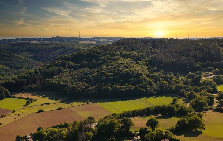 Malerischer Panoramablick auf eine hügelige Waldlandschaft in Rheinland-Pfalz