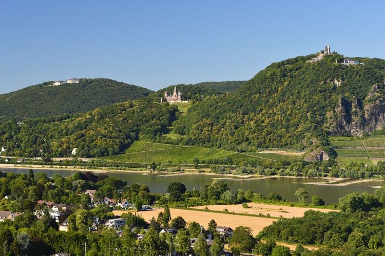 Anblick des Siebengebirges im Rheintal mit Wäldern und Hügeln